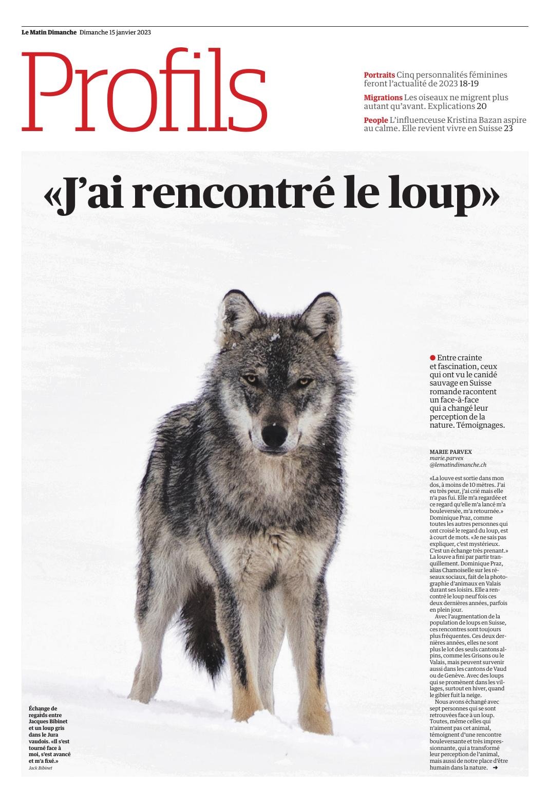 rencontre avec le Loup en Suisse